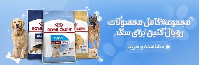 رویال-کنین-سگ-