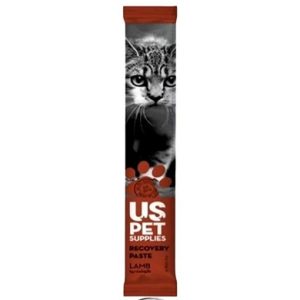 بستنی گربه برند US PET با طعم بره و دارای ویتامین